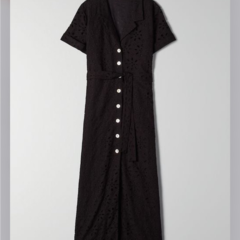 Aritzia shirt dress.